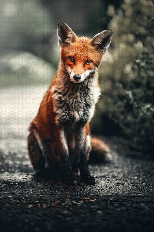 Roadside Fox - Puzzle de madera de 2000 piezas - Puzzle resistente y ajustado, incluye póster