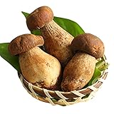 easyum Organic Dried Porcini Mushrooms 2oz, Premium Grade