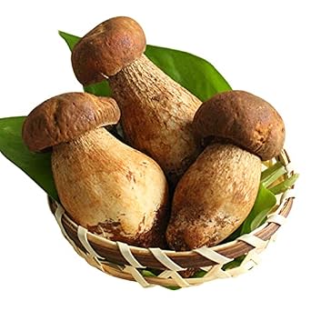 easyum Organic Dried Porcini Mushrooms 2oz, Premium Grade