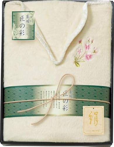 v[[hbO B̍ VNѕz(щH) WE-25001