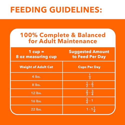 Iams 10146556 Proactive Health Healthy Adult Dry Cat Food With Chicken thumb #6