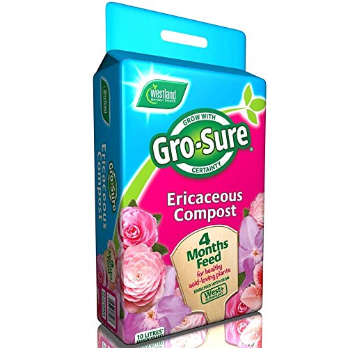 Westland Gro-Sure Ericaceous Compost 10L