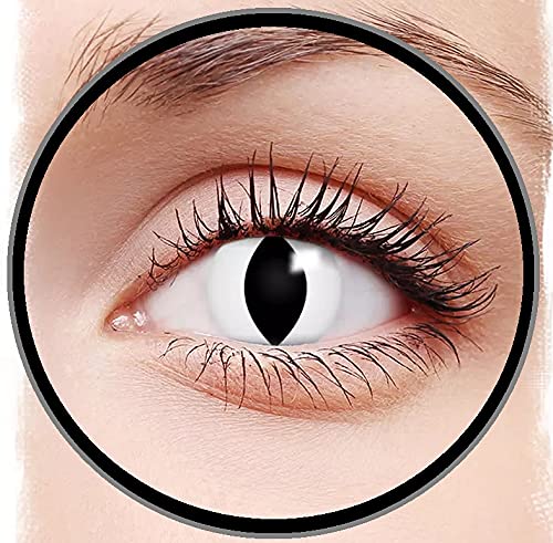 AUGEN Tropical Crazy Lens Yearly Zero Power Contact Lens - 2 Units (1 Pair) (0.00) (White Cat Eye) (B09C5ZJKM7) Amazon Price History, Amazon Price Tracker