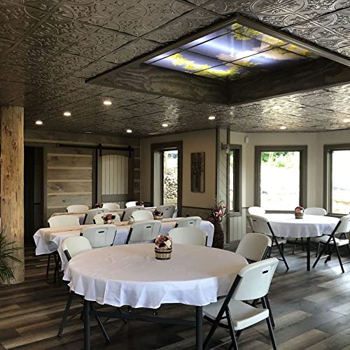 Shanko Tiptoe 2 Ft. X 2 Ft. Tin Plated Steel Wall And Ceiling Patterns Nail Up Steel (Unfinished) 12 Pack #TOP1