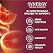 SYNERGY The Real Kombucha - Blood Orange - 16 fl oz Bottle - Raw Probiotic Drink for Gut Health and Immune Support