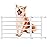 Short Dog Gate Expandable Dog Gate 22-39.37 to Step Over,Pressure Mount Small Pet Gate,Low Pet Gate-Adjustable,Puppy Gate Indoor for Doorway,Stairs (Black, M(14.17\'\'H))
