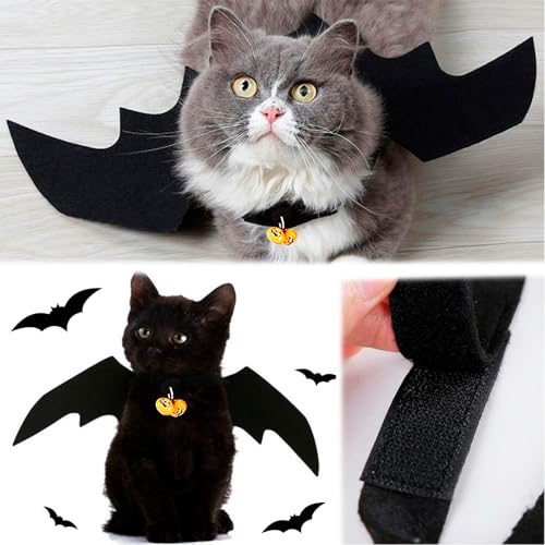 Katze Fledermaus Kostüm - Einstellbares Katzenkostüm Cosplay Dekoration Halloween Fledermaus Haustierkleidung mit Fledermausflügeln für Hund Katze Schwarz Halloween Party Cosplay Haustierkostüm