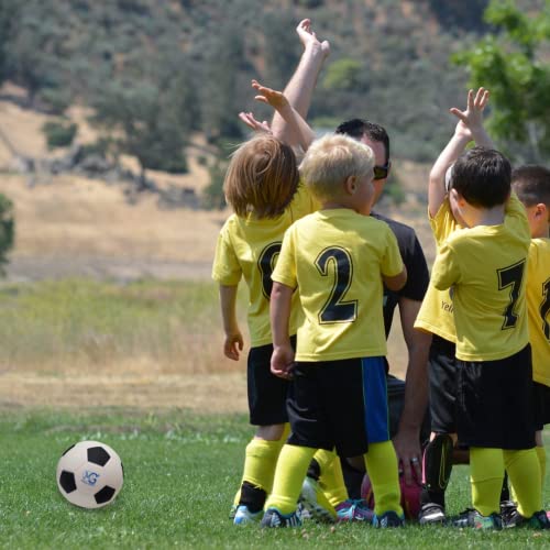 Macro Giant 6 Inch (Dia.) Pu Foam Soccer, Set Of 4, Basic Colors, Training, Practice, Playground Ball, Kid Sports Toys, Kickball, Toy Gift, Physical Education Exercise #TOP1