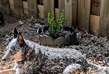 Review Image by doxiegrl doxiegrl