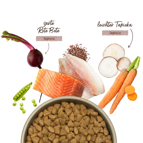 Bosch HPC MENUE Adult mit Nordsee-Lachs & Forelle getreidefrei| Hundetrockenfutter für ausgewachsene Hunde Aller Rassen | 1 x 1 kg