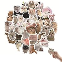 Funny Cat Stickers, 60 Pcs Meme Stickers, Cute Vinyl Waterproof Graffiti Sticker for Teens Girls Laptop Water Bottles Skateboard Computer Phone Guitar Mug