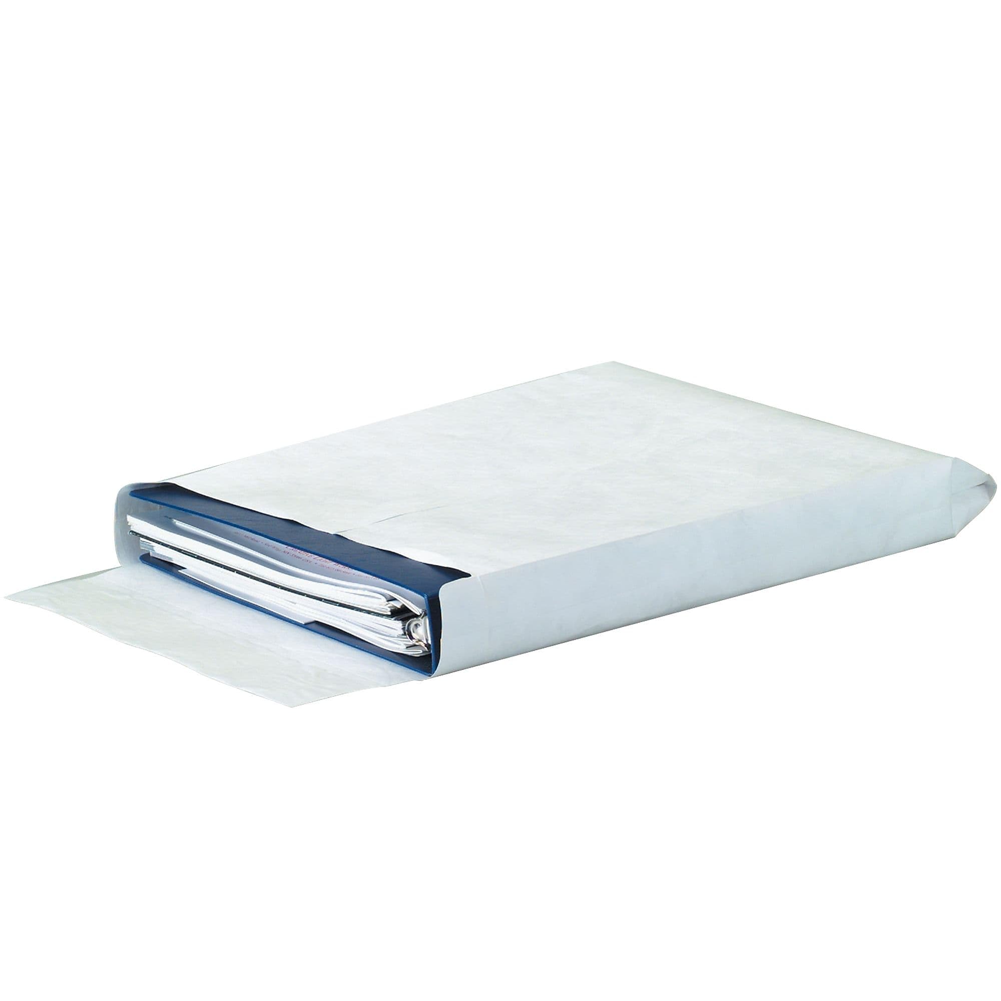 Amazon.com : Tyvek Expandable Envelopes, 10