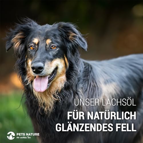 Pets Nature Lachsöl für Hunde und Katzen reines Premium Fischöl mit Omega 3 und 6 für Ihren Hund, Katze und Pferd, 500 ml