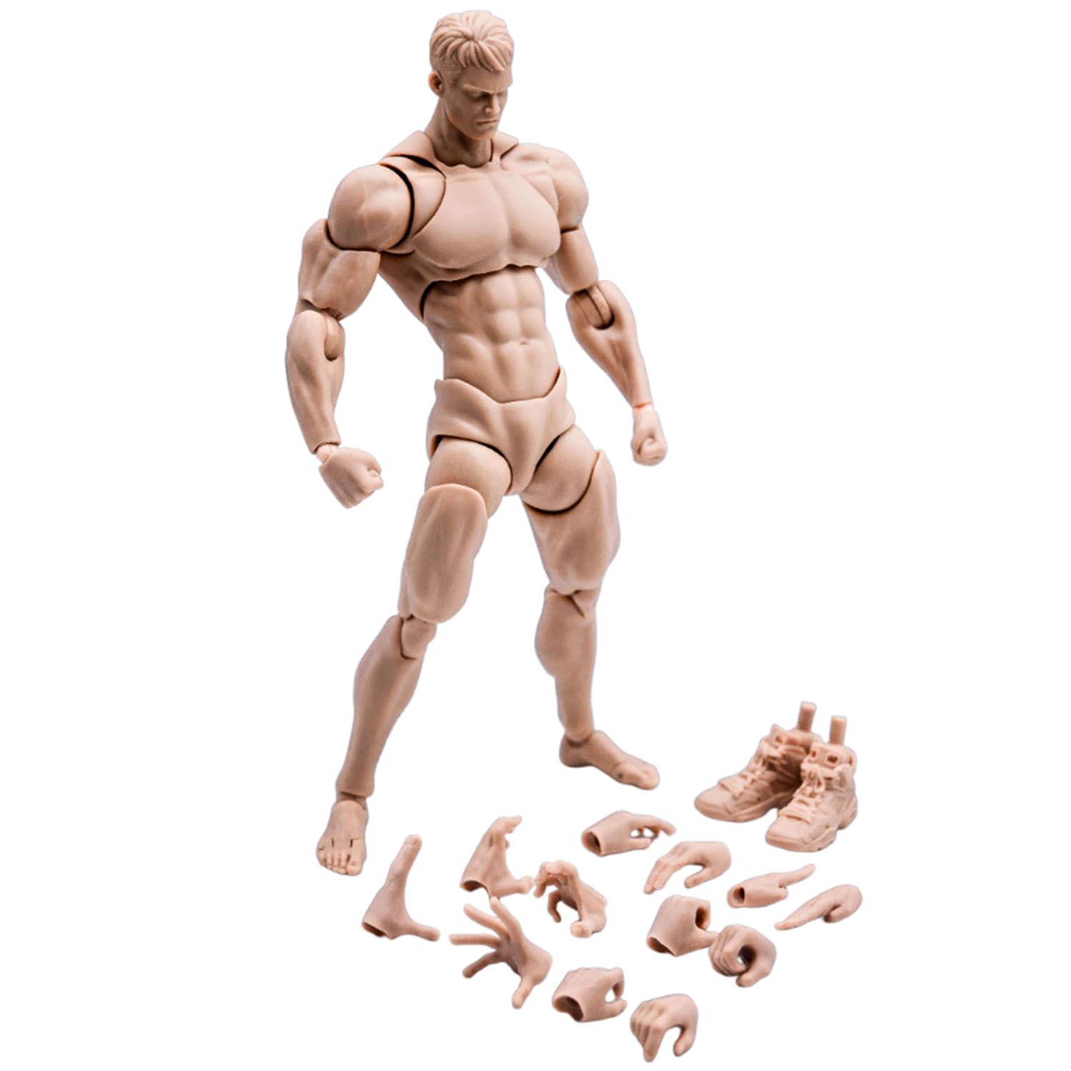 Amazon.co.jp: SYXLCYGJ Wind toys 1/12 超柔軟で強力な筋肉男性