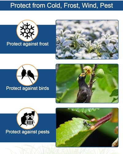 image for Homoda Plant Covers Freeze Protection, 10 ft x 30 ft 1.2oz Frost Blank