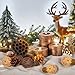 DomeStar 38PCS Pine Cone Set for Bowl Centerpiece - Natural Decor Bowl Fillers with Acorns, Berries and Pinecones Ornament for Home or Festive Display