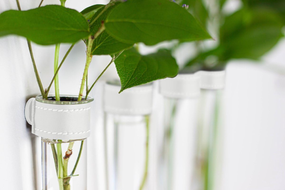 Magnetic Wall Hanging Plant Propagation Station - 12PC - White Leather Wrapped Test Tube Vase Set, Modern Home and Office Decor, Hydroponic Plant Holder, Includes Wall Mount Magnets