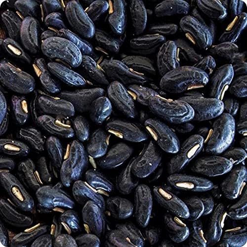 Black Valentine Bush Bean Seeds 100 Count Seed Pack