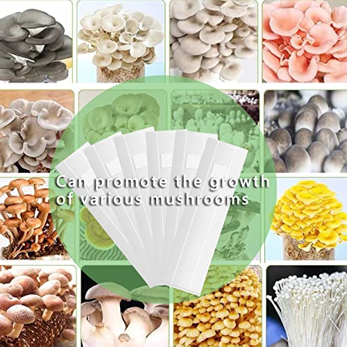 ZYLLZY 20Pcs Transparent Mushroom Grow Bags,Large Size Breathable Mushroom Substrate Bag,Autoclavable Spawn Grow Bags Media for Garden Plant Mushroom Growing - Image 3