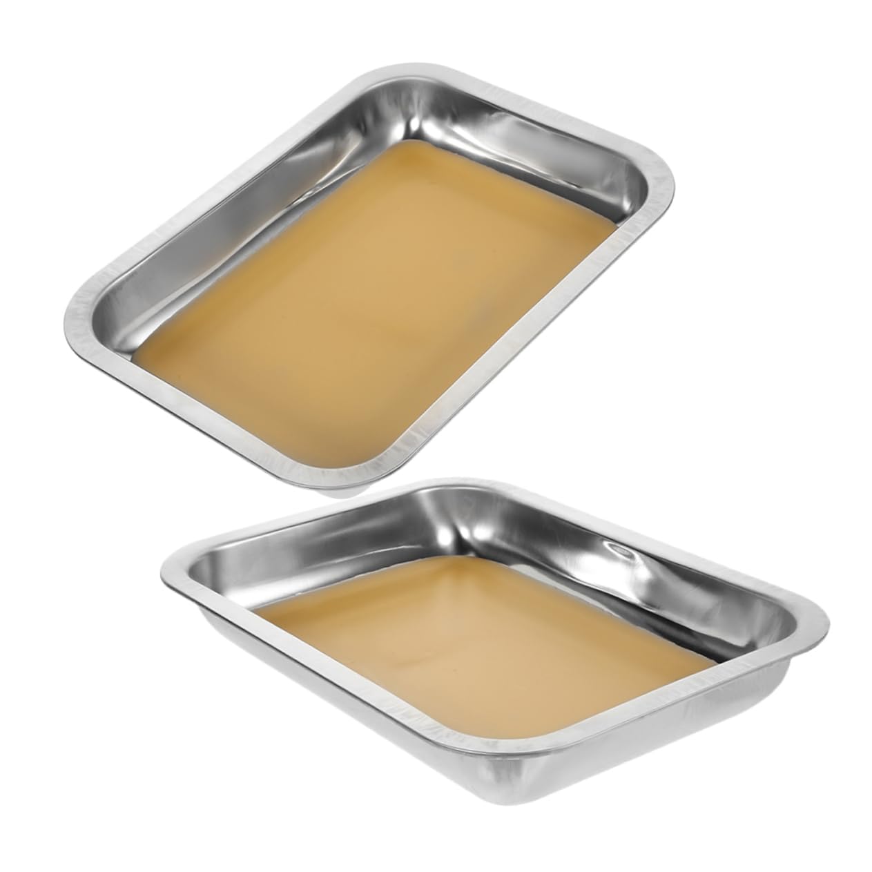 FRCOLOR 2stücke Edelstahltablett mit Wachsboden für Präparationen Laborausrüstung aus Präpariertablett für Unterricht und Forschung