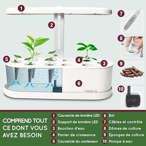 Potager d'intérieur Hydroponique - Pret a Pousser Smart Garden - Kit de culture de jardin intelligent avec éclairage LED, minuterie automatique et pompe à eau - Capacité pour 10 pousses simultanées – Image 3