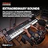 Roland FANTOM-08 WEIGHTED-ACTION SYNTHESIZER KEYBOARD – 88-Note Weighted Keyboard | Thousands of Roland Electronic & Acoustic Sounds | ZEN-Core and SuperNATURAL Technologies
