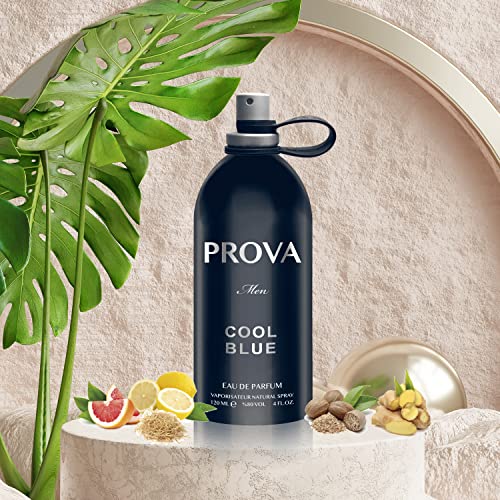 Prova Cool Blue EDP Erkek Parfüm 120 ml