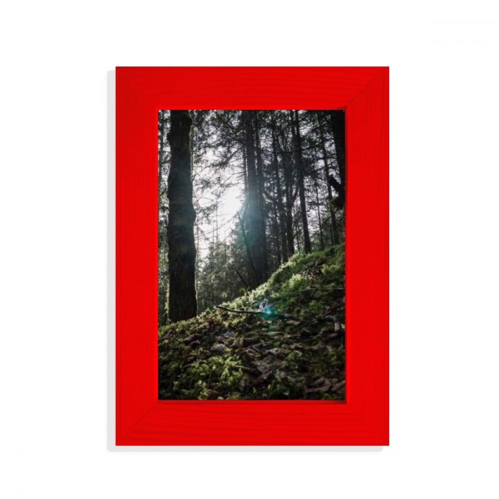 Dark Green Forestry Science Nature Scenery Picture Display Art Red Photo Frame