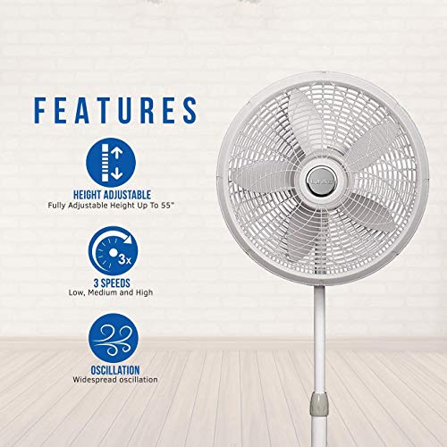 Lasko 1820 18″ Elegance & Performance Adjustable Pedestal Fan, White - Features Oscillating Movement Tilt-Back Fan Head (Renewed) #TOP1