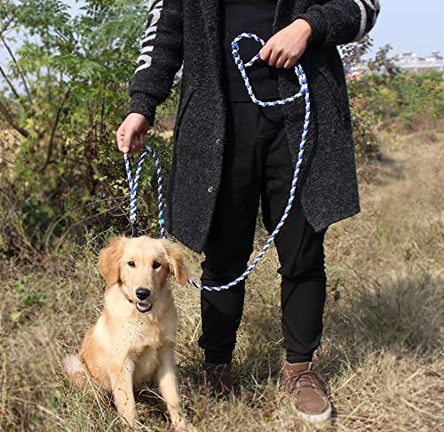 100Ft 750Lb Paracord Rope 11 Strand Nylon Parachute Cord 3/16 Inch Paracord 750 - Genuine Mil Spec Type Iv Used By The Us Military (Mil-C-5040-H) #TOP5