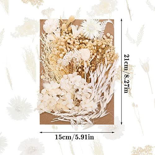 QINREN Natural Dried Flowers, Real Flowers Natural Mixed DIY pressed flowers Craspedia Globosa Yellow Billy Balls for DIY Candle Resin Jewelry Nail Pendant Crafts Making Art Floral Decorations