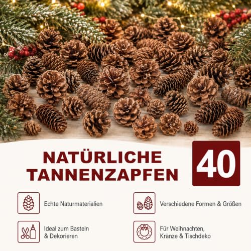 LATRAT 40 Stück Weihnachten Tannenzapfen, Verschiedene Größen Natürliche für Weihnachtsbaum, Handwerk, Geschenke, Thanksgiving, Xmas, Home Decor – Bild 2