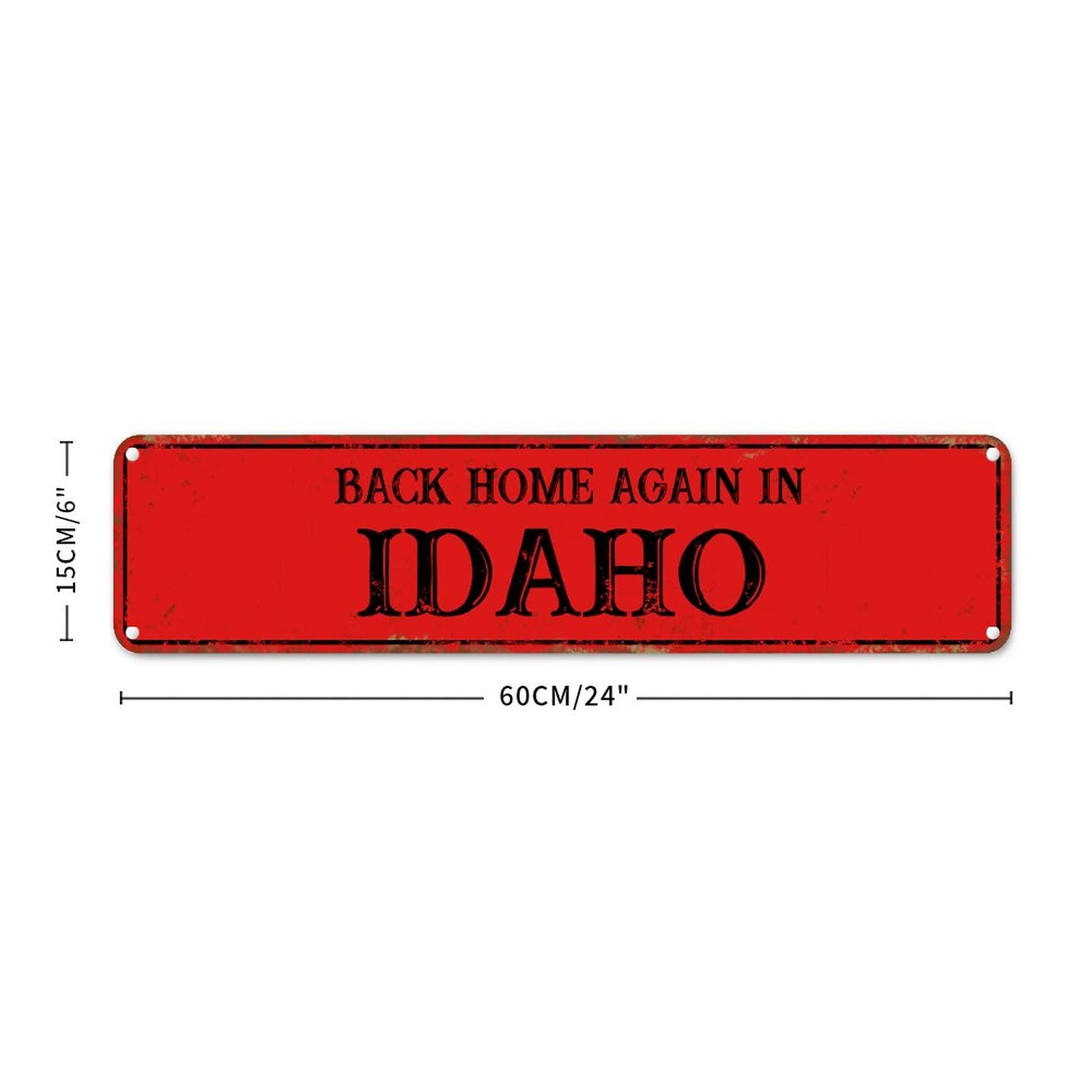 Plaque murale en métal Idaho déco vintage en aluminium de 61x15,2 cm