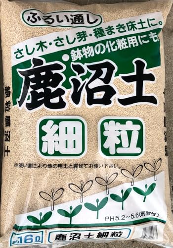 [REEƎ҈p] Iy(pyFʋCEېEr) < A͔|E|bg͔|E~́E}> (16L) (ח)