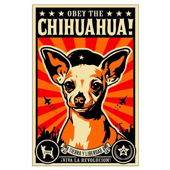 Amazon.com: CafePress Obey The Chihuahua Revolution 23