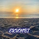 3155846 Records DK