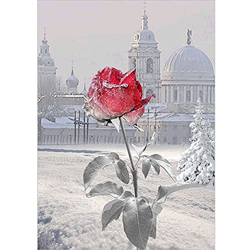 Broderie Diamant Strass Complet Rose Rouge : Kit 5D Grand Format Luxe - 2