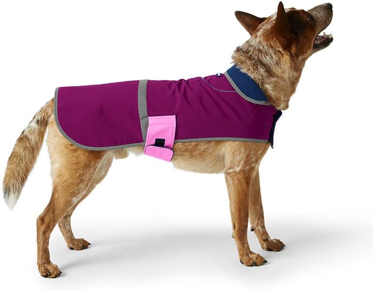 dog squall jacket
