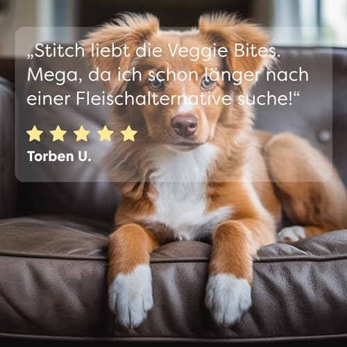 Dr. SAM Veggie Bites für Hunde – Vegetarische Hundesnacks mit Buchweizen, Karotten & Spirulina – Hypoallergen & Glutenfrei – Natürliche Leckerlis für Sensible Hunde - 200g