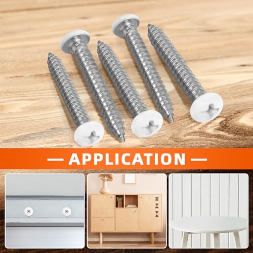 Mewudecor PHS.W06.34-100 #6 X 3/4 Inch Pan Head Wood Screws, Sheet Metal Screws Self Tapping Screws, Stainless Steel 18-8 thumb #4