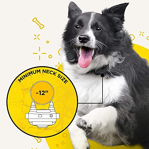 Dogtra Iq Plus Rechargeable Waterproof 400-Yard Remote Dog Training E-Collar #TOP6