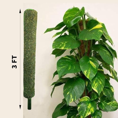 Image of IQNEX Plant Support Moss Stick- Green Grass Pole for Plants Support, Support Stick for Money Plant, Climbing Indoor Plants (3ft, Set-4)