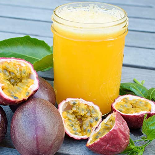 Qauzuy Garden 30 Seeds Passion Fruit Seeds Passiflora Passionflower Vine Maypop Granadilla Edulis Seeds- Organic Non-Gmo Seeds- Fast-Growing &Low-Maintenance #TOP1