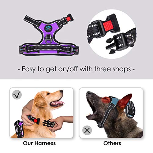 Image of PHOEPET No Pull Dog Harnesses for Small Dogs Reflective Adjustable Front Clip Vest with Handle 2 Metal Rings 3 Buckles [Easy to Put on & Take Off](XS, Purple)