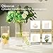Glasseam Ribbed Glass Candle Holder, Cylinder Candle Holders for Pillar Candles, Clear Hurricane Candle Holder Set of 6, Decorative Floating Candle Vases for Centerpieces Wedding Table Decorations