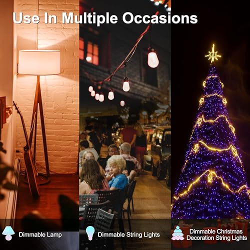 Palawell T5 Outdoor Dimmer For String Lights thumb #5