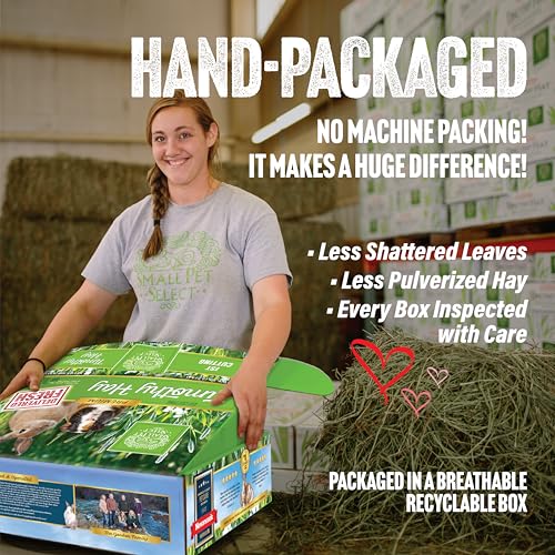 Image of Small Pet Select 1st Cutting Timothy Hay for Rabbits & Guinea Pigs, 2 lb | High Fiber Natural Hay, Grown in USA, Long Coarse Strands for Dental Wear, For Chinchillas, Hamsters, Bunnies & Small Pets