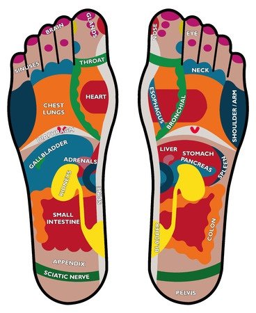 Jane Bernard Shea Butter Home Made Foot Lotion Bar In Twist Up Tube | Solid With Nourishing Ingredients To Aid Dry Cracked Feet, Heels, Knees And Elbows #TOP3