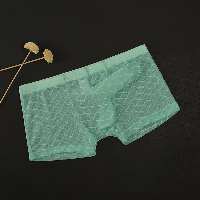 Men's Sheer Boxer Briefs See Through Breathable Mesh Lingerie Transparent Elephant Nose Trunk Sexy Thong Underwear3