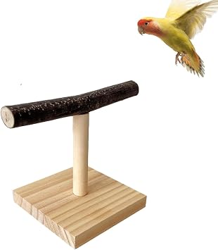 Bird Play Stands, Wooden Tabletop Parrot Perch Shelf, T Stand ParrotPerch Stand, Portable Bird Training Playground, Parrot T Perch, Easy to assemble, for Cockatiels, Conures, Parakeets, Finch
